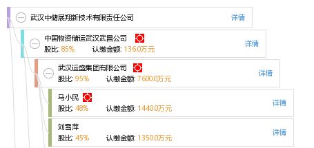 武汉中储展翔新技术有限责任公司 工商信息 信用报告 财务报表 电话地址查询 天眼查